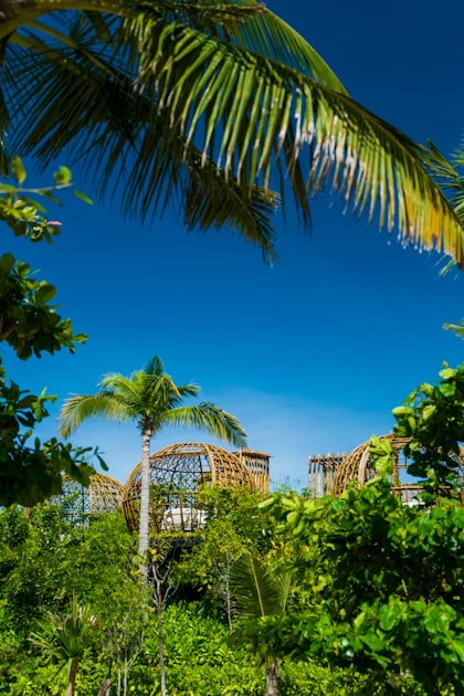Maximizing Resort Sustainability